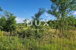Zemljiste, Grožnjan, prodaja, 216000 €, 3645 m2