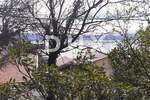 Kuca, Novi Vinodolski, Smokvica Krmpotska, prodaja, 500000 €, 185 m2