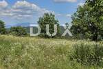 Zemljiste, Tinjan, prodaja, 80000 €, 1187 m2