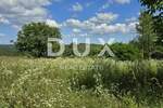 Zemljiste, Tinjan, prodaja, 78000 €, 1158 m2