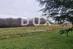 Zemljiste, Pazin, Heki, prodaja, 41500 €, 10000 m2