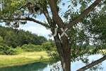Zemljiste, Otočac, Čovići, prodaja, 42000 €, 1000 m2