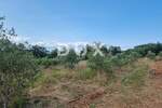 Zemljiste, Labin, prodaja, 375000 €, 13692 m2