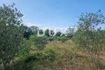Zemljiste, Labin, prodaja, 375000 €, 13692 m2