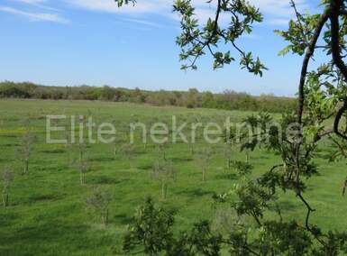 Zemljiste, Marčana, prodaja, 155000 €, 15000 m2