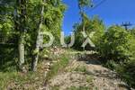 Zemljiste, Pićan, prodaja, 60000 €, 1000 m2