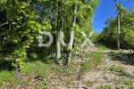 Zemljiste, Pićan, prodaja, 60000 €, 1000 m2
