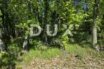 Zemljiste, Pićan, prodaja, 60000 €, 1000 m2