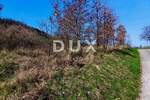 Zemljiste, Buzet, prodaja, 31494 €, 10498 m2