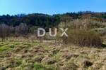 Zemljiste, Buzet, prodaja, 31494 €, 10498 m2