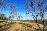 Zemljiste, Buje, prodaja, 264000 €, 1765 m2