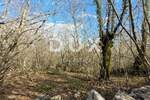 Zemljiste, Krk, prodaja, 89000 €, 6600 m2