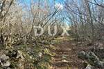 Zemljiste, Krk, prodaja, 89000 €, 6600 m2