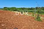 Zemljiste, Novigrad, prodaja, 199000 €, 1119 m2