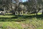 Zemljiste, Krk, prodaja, 160000 €, 1827 m2