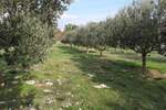 Zemljiste, Krk, Vrh, prodaja, 255000 €, 13127 m2