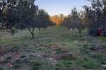 Zemljiste, Krk, Vrh, prodaja, 255000 €, 13127 m2