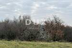 Zemljiste, Brtonigla, prodaja, 1300000 €, 55000 m2