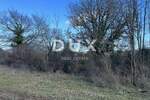 Zemljiste, Barban, Manjadvorci, prodaja, 65500 €, 970 m2