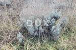 Zemljiste, Višnjan, prodaja, 139000 €, 13835 m2