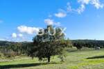 Zemljiste, Tinjan, prodaja, 214000 €, 7933 m2