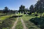 Zemljiste, Tinjan, prodaja, 214000 €, 7933 m2