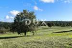 Zemljiste, Tinjan, prodaja, 214000 €, 7933 m2