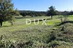 Zemljiste, Tinjan, prodaja, 214000 €, 7933 m2