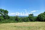 Zemljiste, Vižinada, prodaja, 155000 €, 564 m2