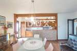 Kuca, Pula, Veli vrh, prodaja, 1200000 €, 500 m2