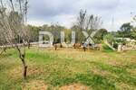 Zemljiste, Svetvinčenat, prodaja, 147000 €, 1000 m2