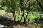 Zemljiste, Matulji, Mali Brgud, prodaja, 33000 €, 1759 m2