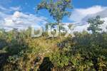 Zemljiste, Labin, prodaja, 69000 €, 1036 m2