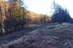 Zemljiste, Klana, prodaja, 53000 €, 9011 m2