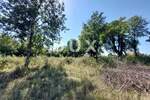 Zemljiste, Barban, prodaja, 57000 €, 784 m2