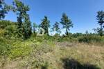 Zemljiste, Barban, prodaja, 57000 €, 784 m2