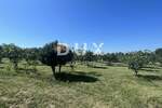 Zemljiste, Marčana, Rakalj, prodaja, 83000 €, 1050 m2