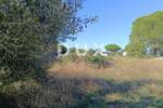 Zemljiste, Fažana, Valbandon, prodaja, 130000 €, 474 m2