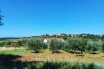 Zemljiste, Vižinada, prodaja, 308000 €, 2800 m2