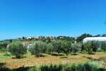 Zemljiste, Vižinada, prodaja, 308000 €, 2800 m2