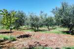 Zemljiste, Vižinada, prodaja, 308000 €, 2800 m2