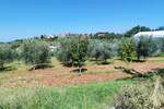 Zemljiste, Vižinada, prodaja, 308000 €, 2800 m2