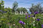 Zemljiste, Crikvenica, prodaja, 200000 €, 11520 m2