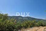 Zemljiste, Buzet, prodaja, 250000 €, 23970 m2