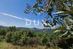 Zemljiste, Buzet, Sovinjak, prodaja, 15000 €, 868 m2