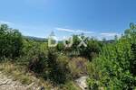 Zemljiste, Buzet, Sovinjak, prodaja, 15000 €, 868 m2