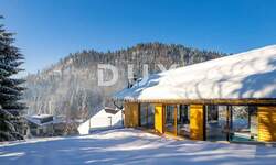 Kuca, Čabar, Tršće, prodaja, 625000 €, 300 m2