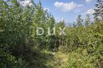 Zemljiste, Dobrinj, Šilo, prodaja, 315000 €, 3609 m2