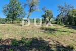 Kuca, Oprtalj, prodaja, 600000 €, 192 m2