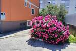 Kuca, Zadar, Stanovi, prodaja, 980000 €, 540 m2